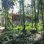 Sitio Das Brumelias Sertao Do Ubatumirim
