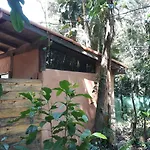 Sitio Das Brumelias Sertao Do Ubatumirim