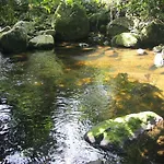 Sitio Das Brumelias Sertao Do Ubatumirim