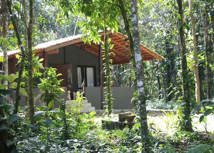 Sitio Das Brumelias Sertao Do Ubatumirim